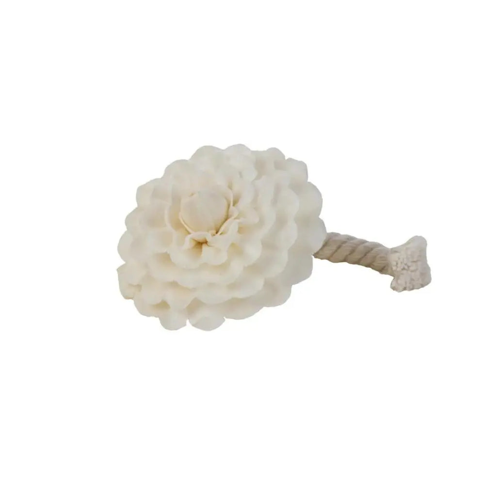 Durance Scented Flower Refill – White Rose - The Beauty Store
